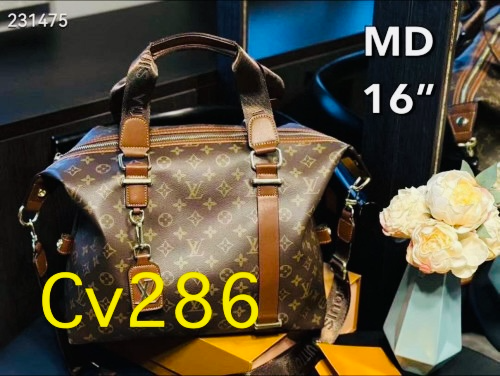 LV Travel Bag Mono